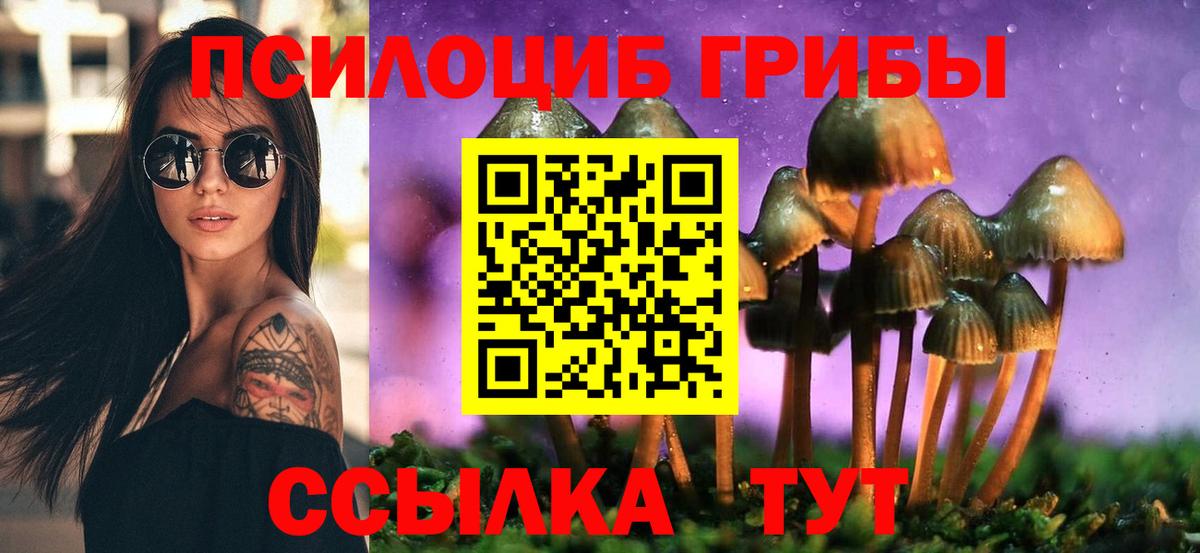 Галлюциногенные грибы ЛСД Тайшет