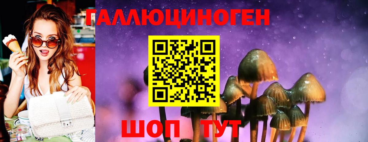Тайшет  Псилоцибиновые грибы Psilocybine cubensis  Вход с VPN 